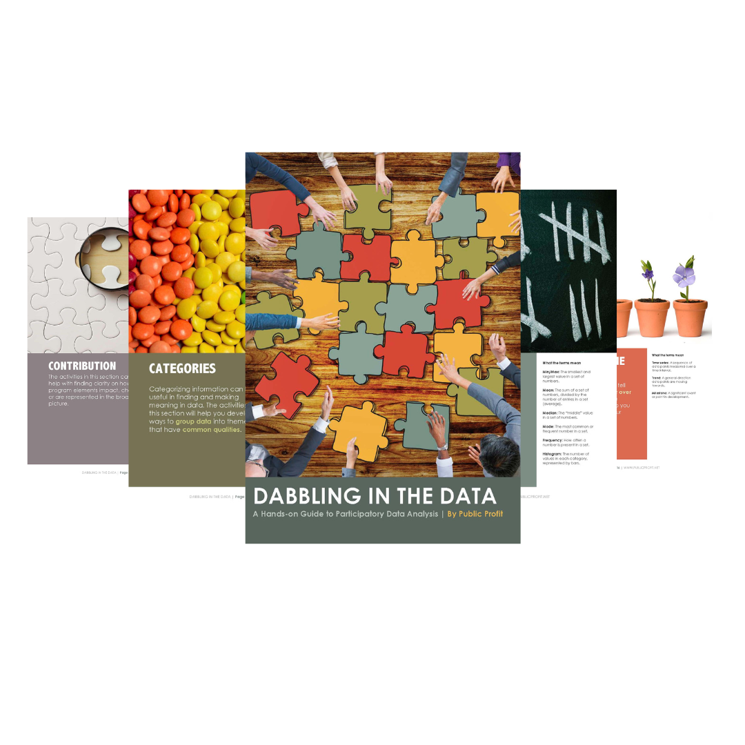 Dabbling in the Data A HandsOn Guide to Participatory Data Analysis Public Profit
