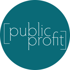 public profit logo@3x public profit logo@3x